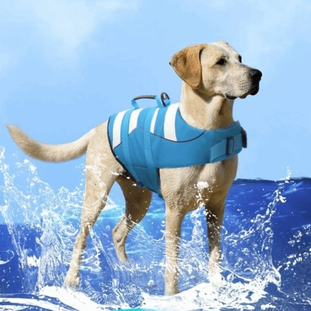 Reflective Dog Life Jacket Sup - Life Jacket Buoyancy recensione e prezzo