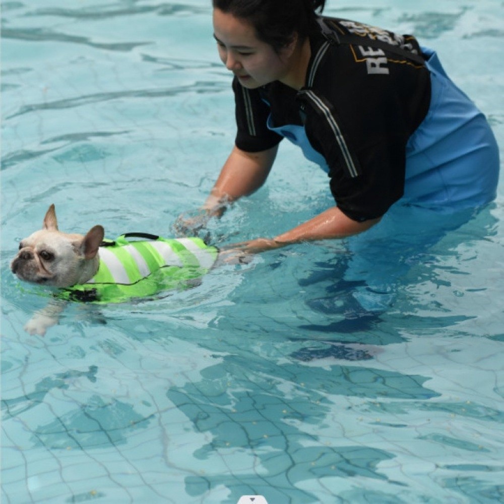 Reflective Dog Life Jacket Sup - Life Jacket Buoyancy recensione e prezzo