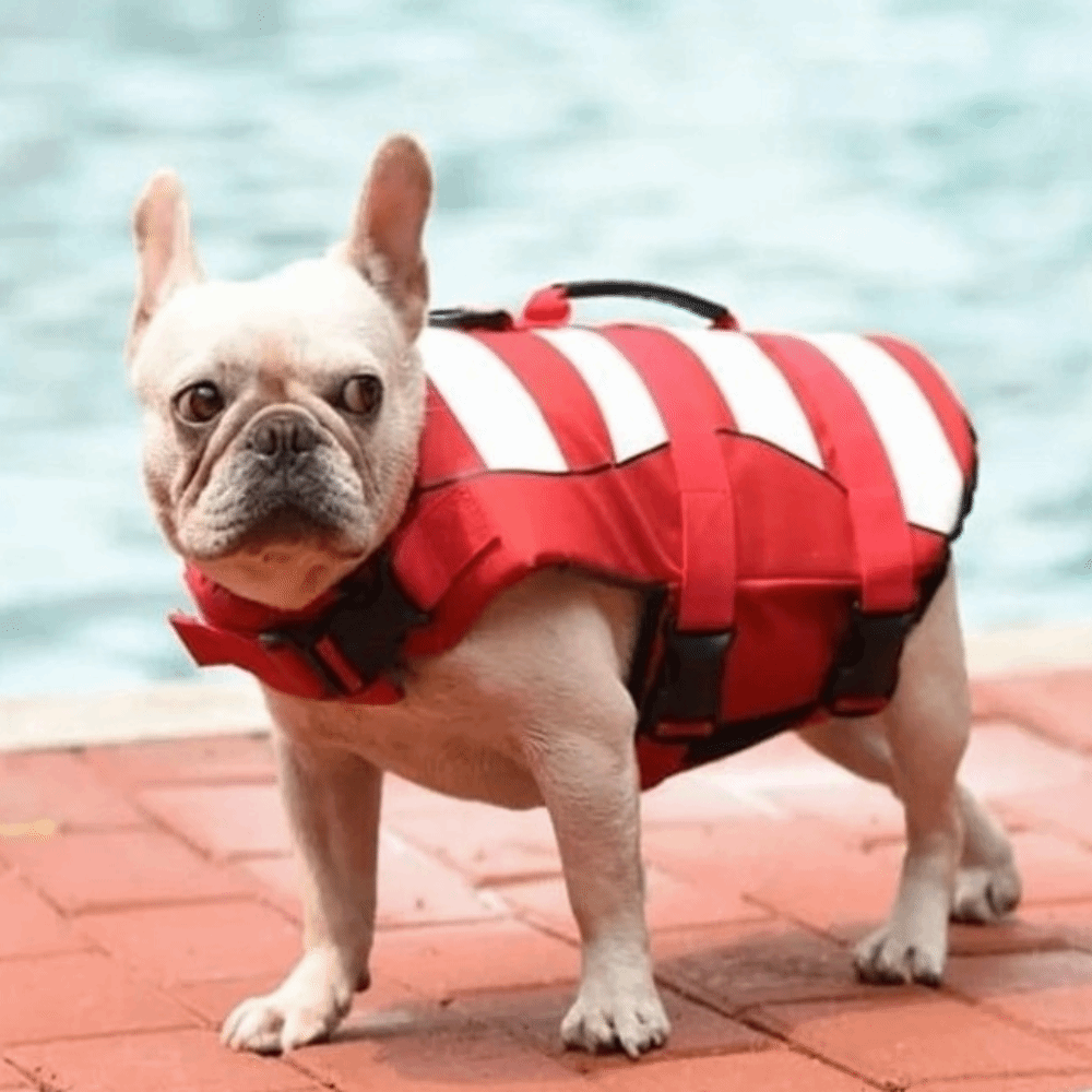 Reflective Dog Life Jacket Sup - Life Jacket Buoyancy recensione e prezzo