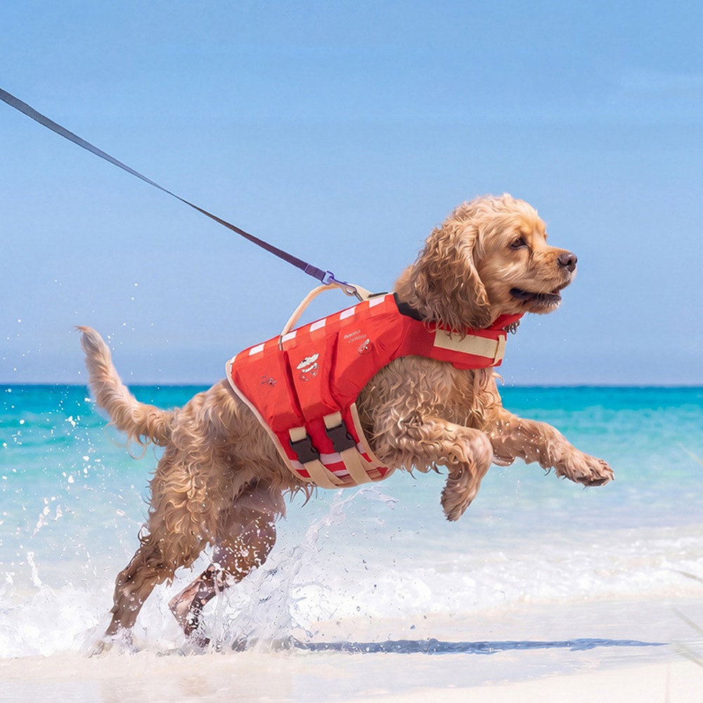 Waterproof Dog Life Jacket Bre - Life Jacket Buoyancy recensione e prezzo
