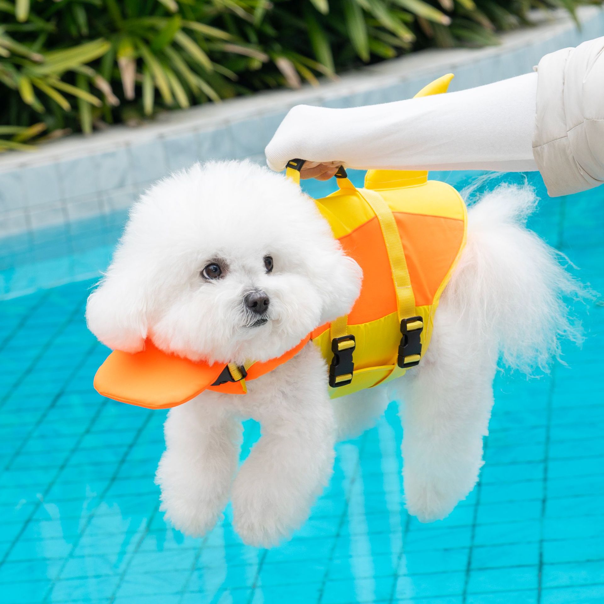 Cute Shark Dog Life Jacket wit - Life Jacket Buoyancy recensione e prezzo