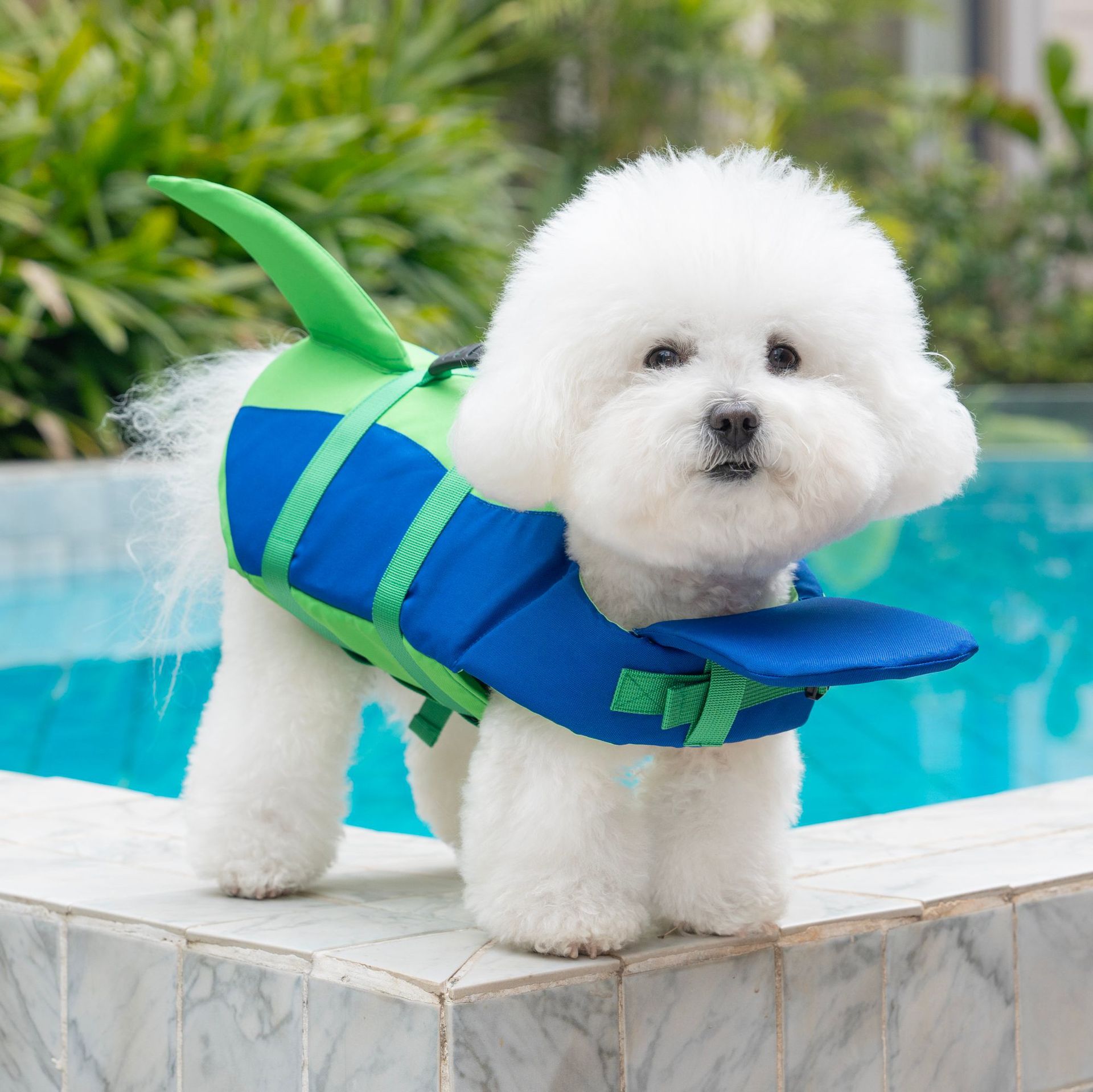 Cute Shark Dog Life Jacket wit - Life Jacket Buoyancy recensione e prezzo