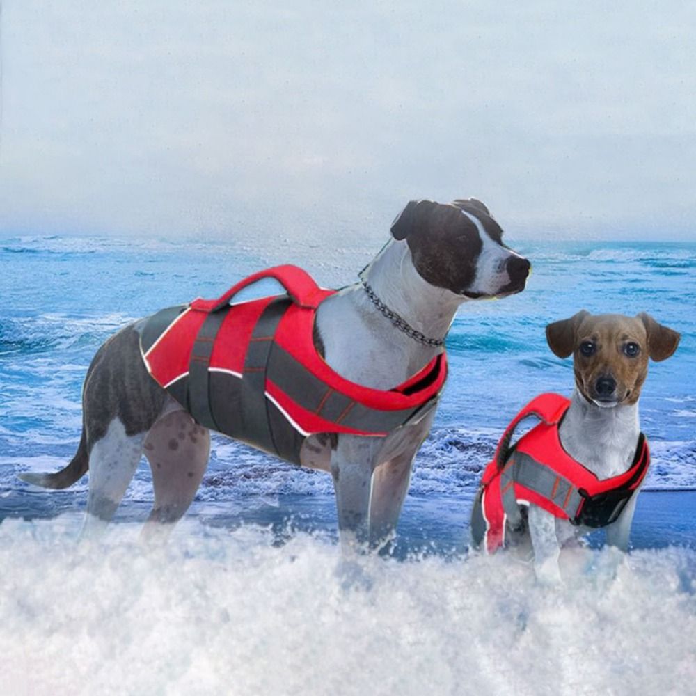 Reflective Dog Life Jacket Adj - Life Jacket Buoyancy recensione e prezzo