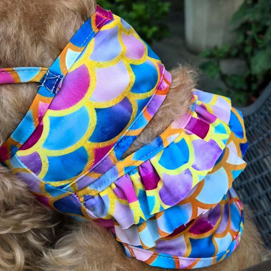 PETSIN Jacket, Suitable For La - Life Jacket Buoyancy recensione e prezzo
