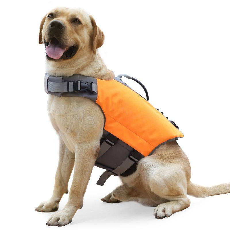 Pet Life Vest Dog Life Jacket  - Life Jacket Buoyancy recensione e prezzo