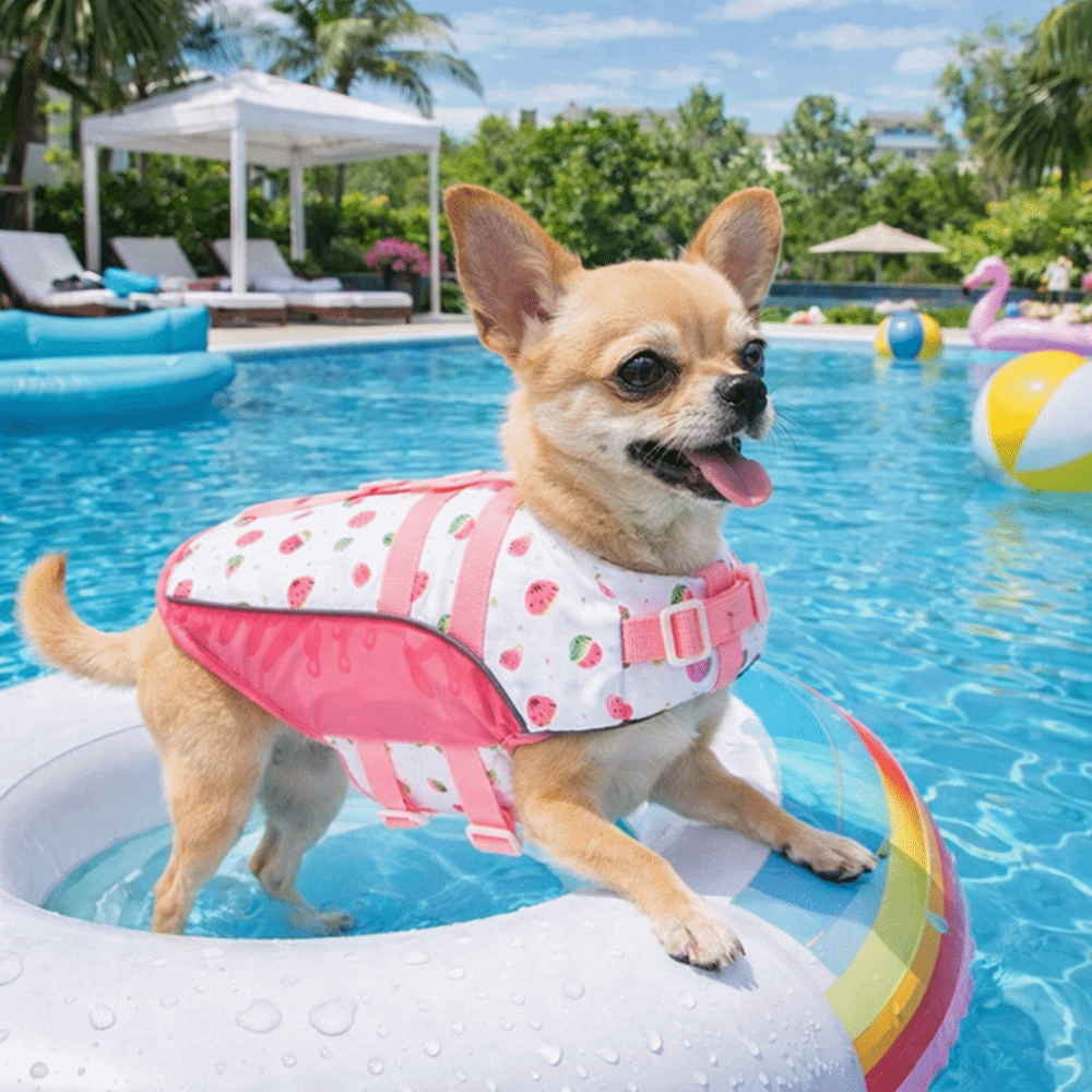 Adjustable Dog Life Jacket Hig - Life Jacket Buoyancy recensione e prezzo