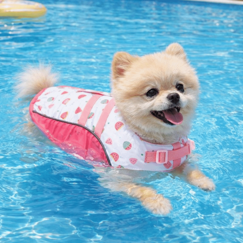 Adjustable Dog Life Jacket Hig - Life Jacket Buoyancy recensione e prezzo