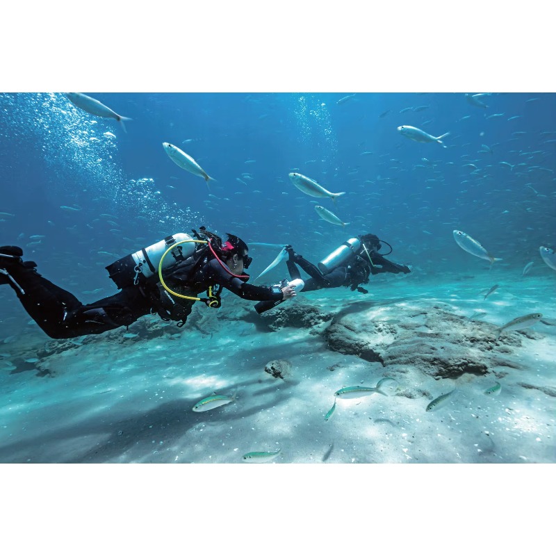 High-Speed Electric Underwater - Aquatic Diving recensione e prezzo