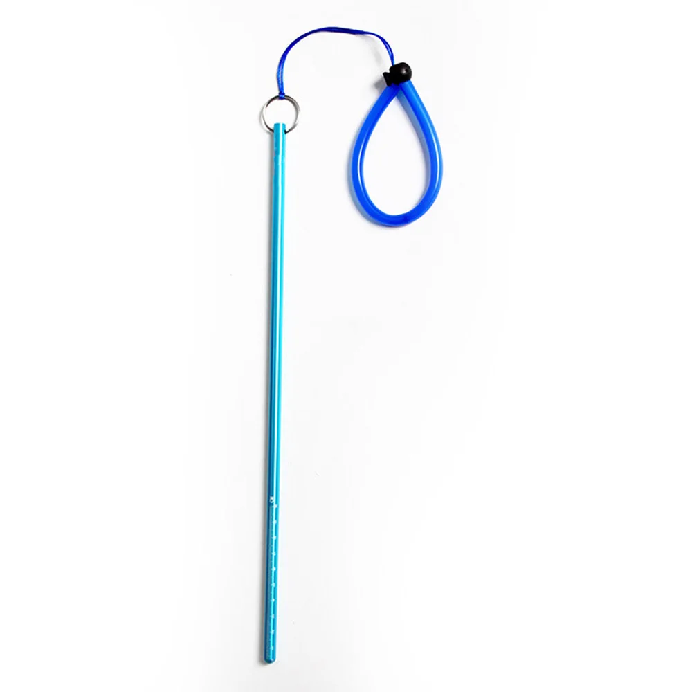 Scuba Dive Lobster Stick Point - Aquatic Diving recensione e prezzo