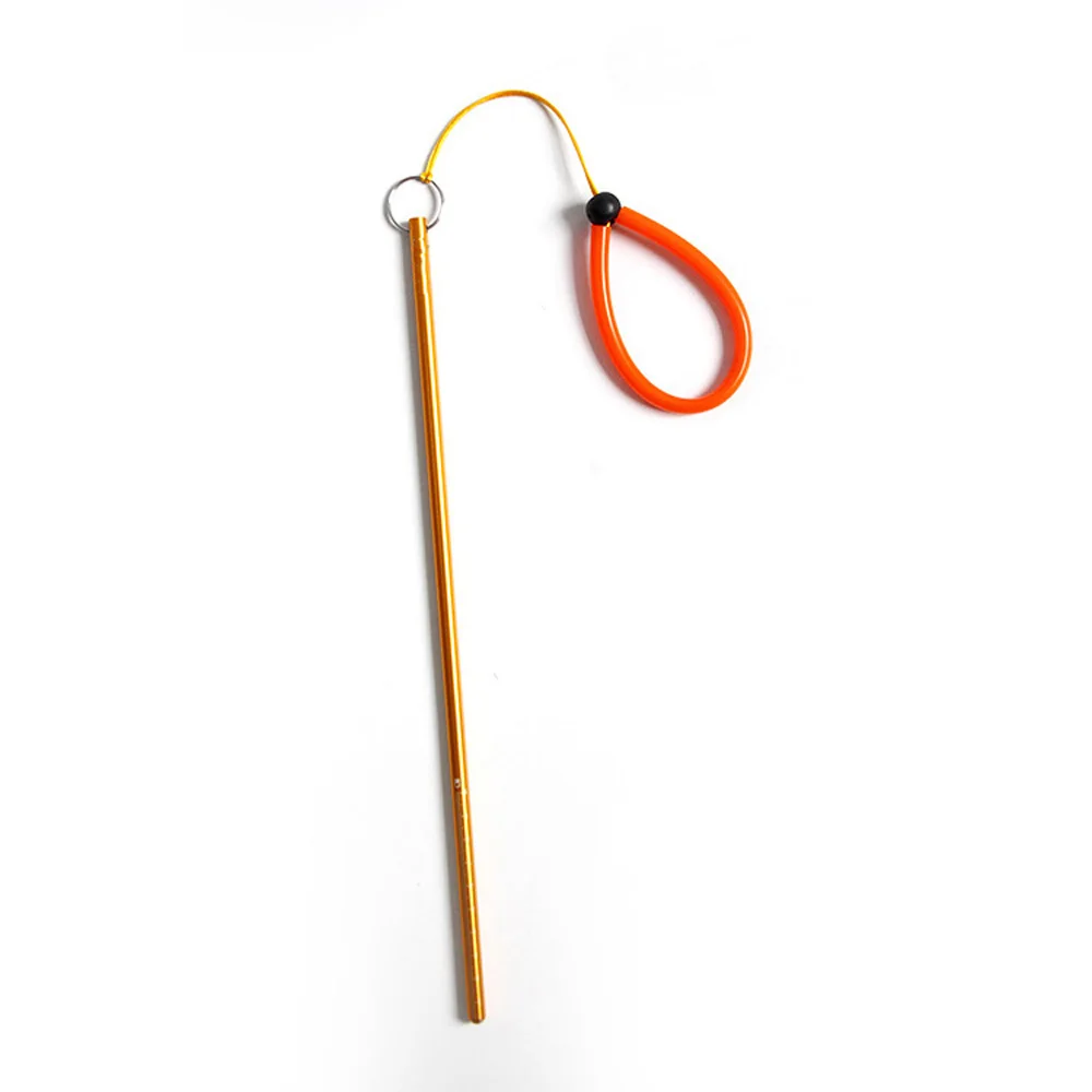 Scuba Dive Lobster Stick Point - Aquatic Diving recensione e prezzo